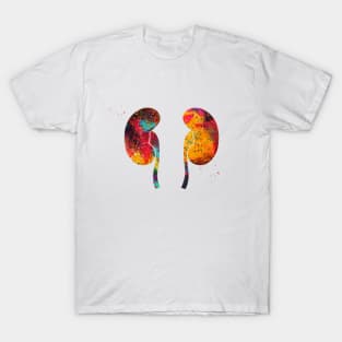 The Kidneys anatomy T-Shirt